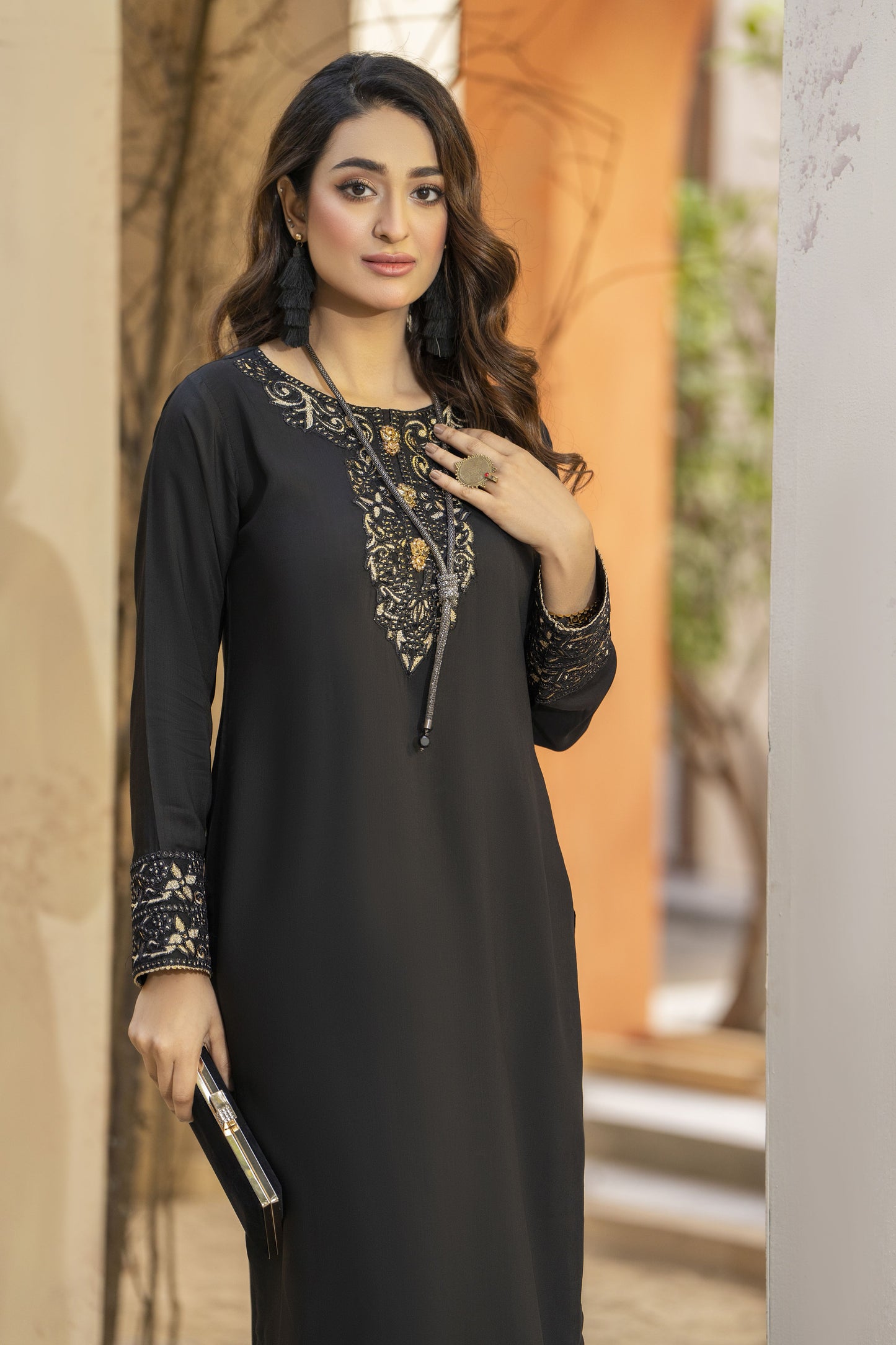 Raima Ready to Wear 2 Pcs Embroidered Dress hi o